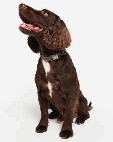 Collare per cani in tartan riflettente 