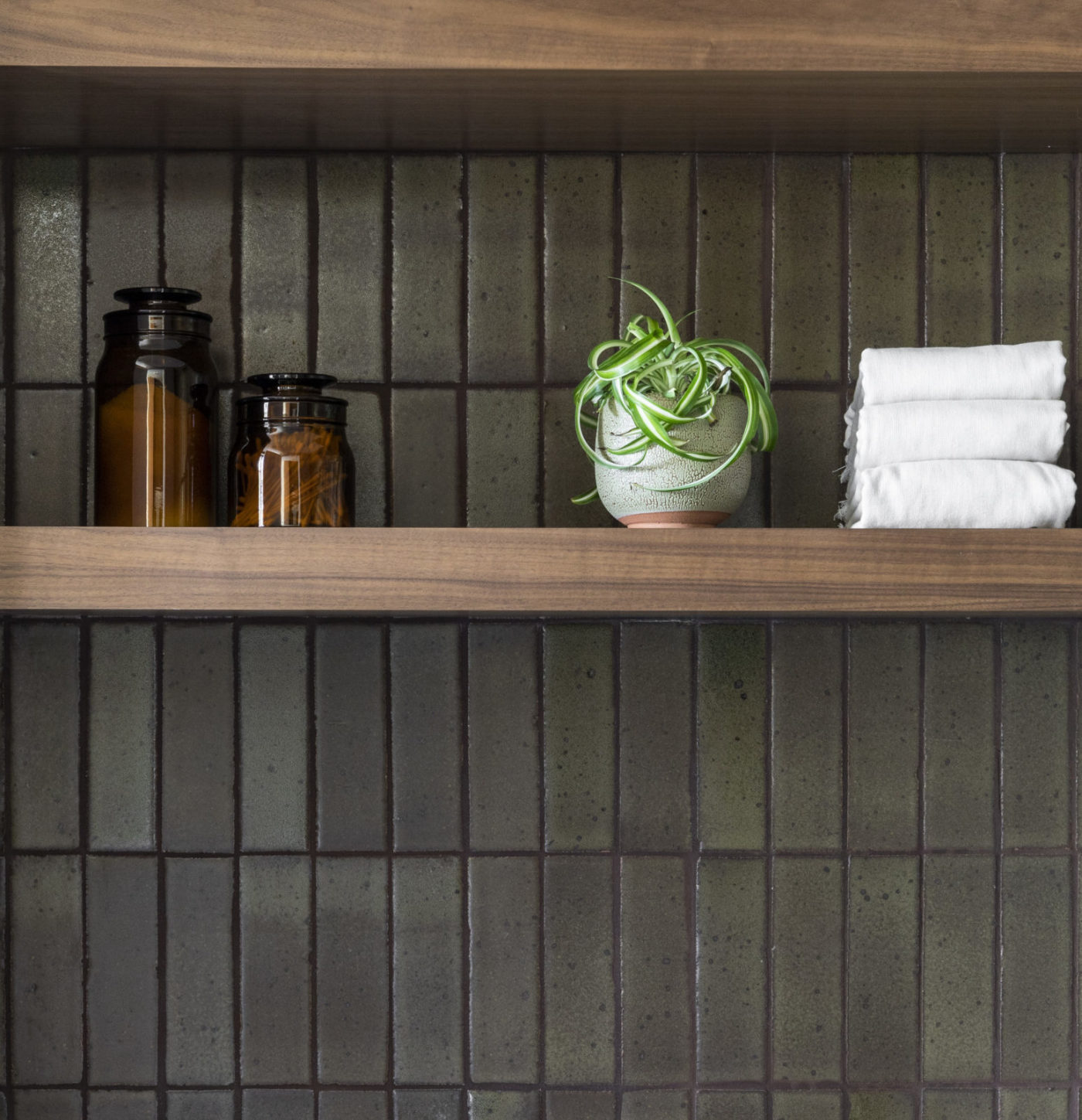 a bathroom with a wooden shelf and a plant on it.