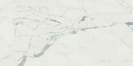 Anima Statuario Venato 24×47 Field Tile Polished Rectified