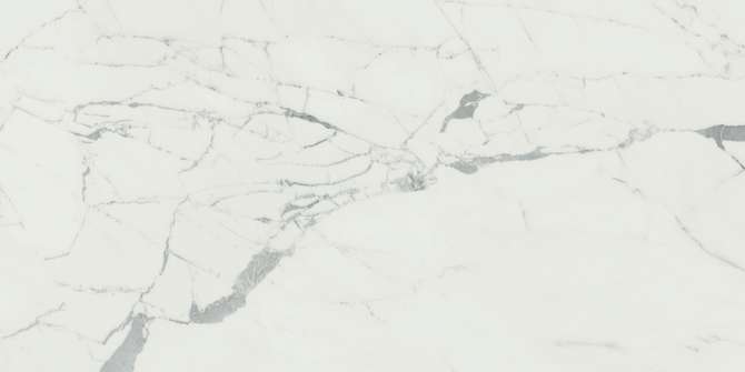 Valentina Statuario 24×48 Field Tile Polished Rectified