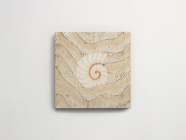 Giovanni De Maio + Cristina Celestino: Thalassa | Decoro 4 | Avana 