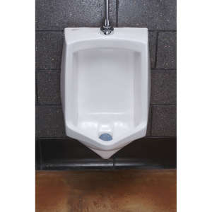Hillyard, Non-Para Enzymatic Urinal Block, Cherry