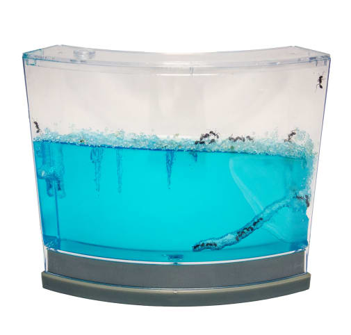 Ant Habitat, LED