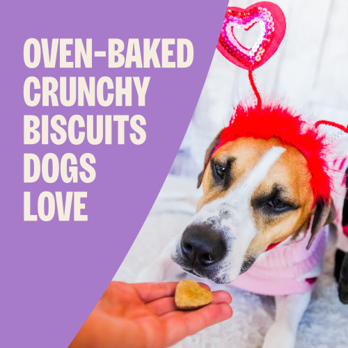 The benefits of Old Mother Hubbard Seasonal P-Nuttier (Peanut Butter)