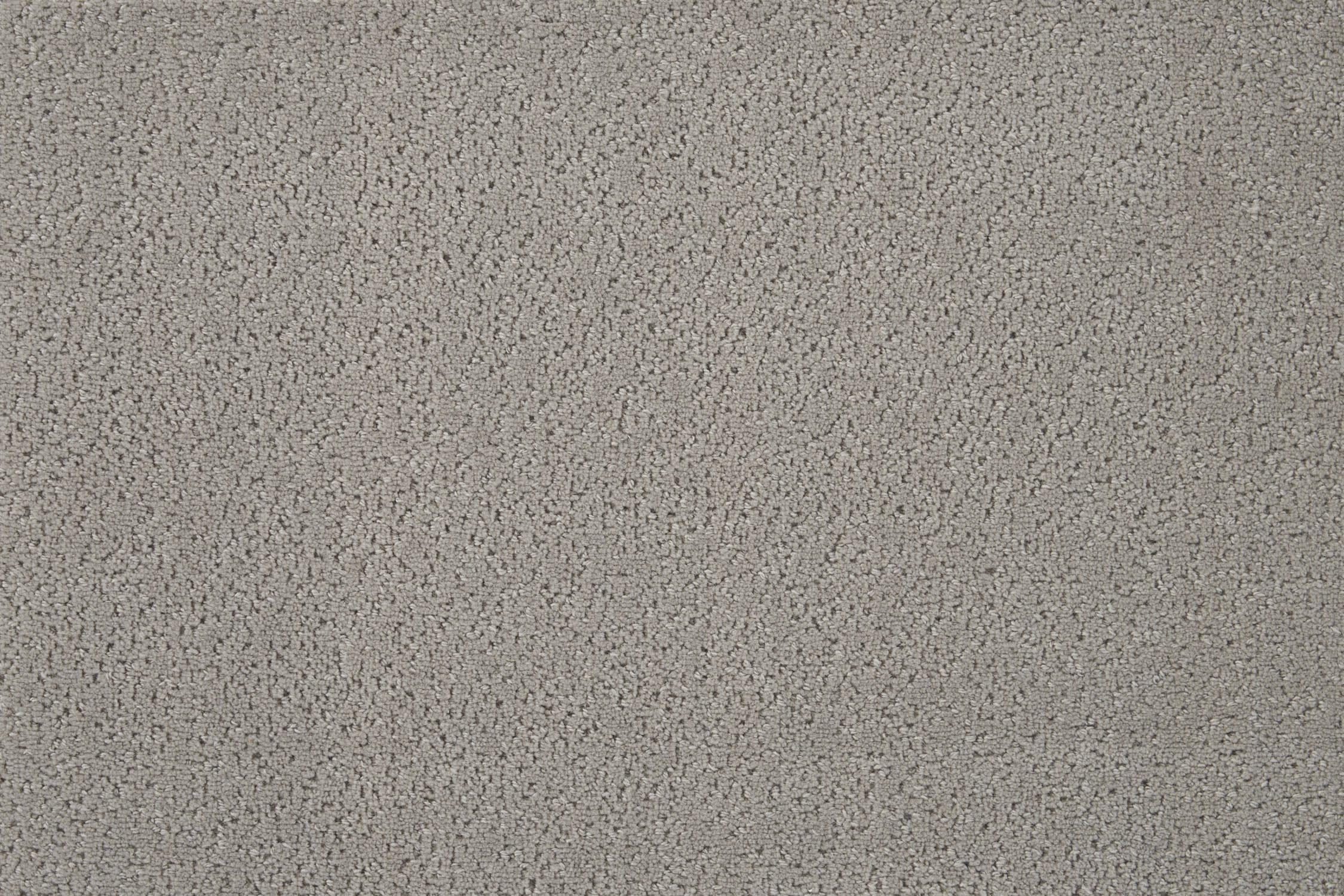 color-rug1