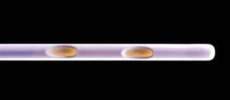 Cook Medical Urodynamic Catheter