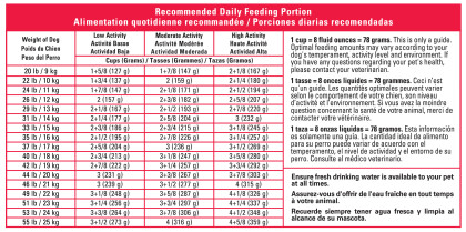 Royal Canin Size Health Nutrition Medium Aging 10+ Dry Dog Food