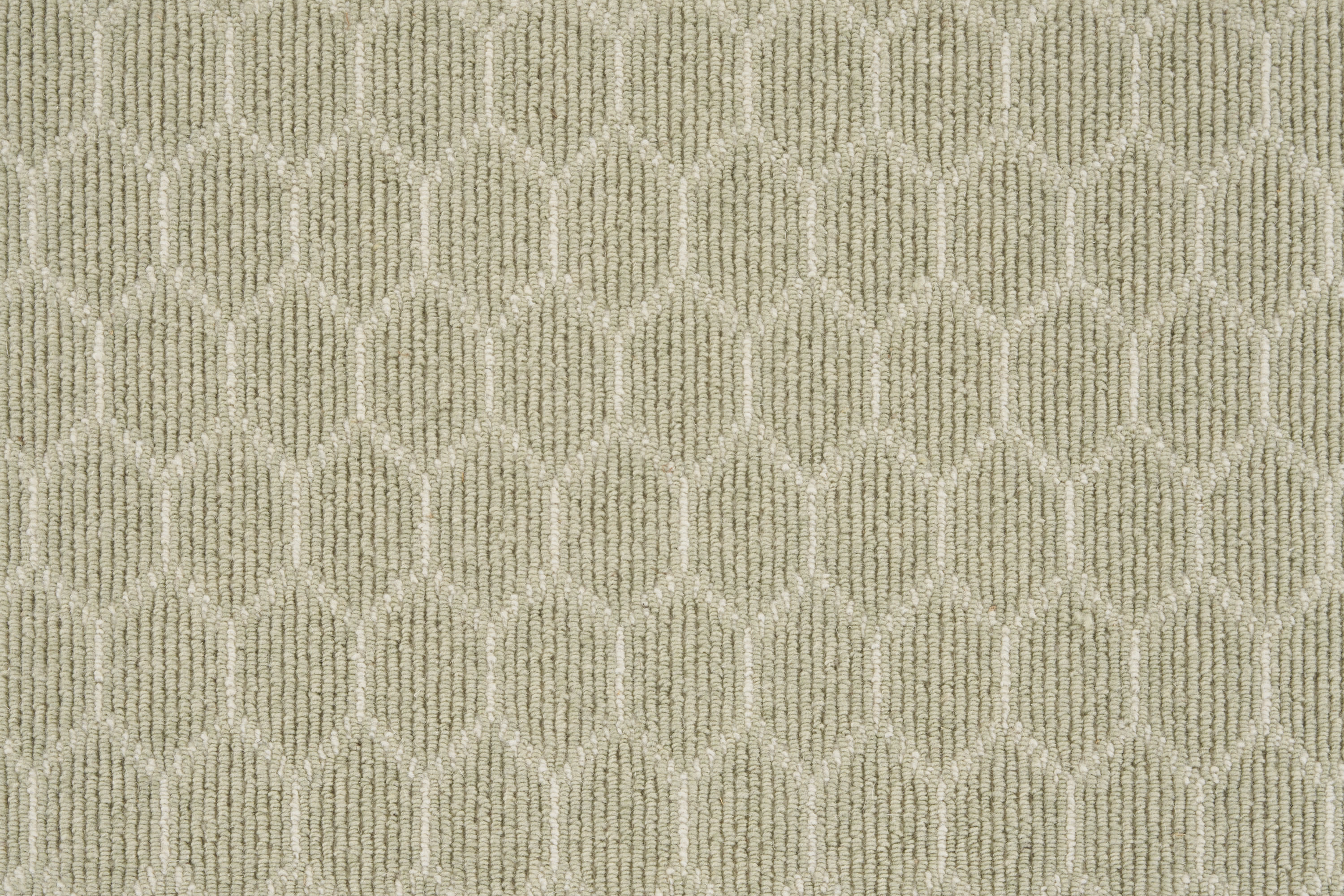 color-rug1