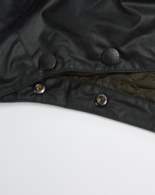 Waxed Storm Hood Sage