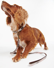 Reflective Tartan Dog Lead Taupe-Pink Tartan
