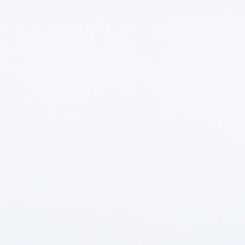 Plain white wall or sheet, smooth and untextured, fills the frame — uniformly lit, reflecting soft diffuse light; neutral, featureless background suggesting a minimally lit studio or empty room.