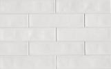 Tongue in Chic You Don’T Snow Me 2-1/2×10-1/2 Wall Tile Opal