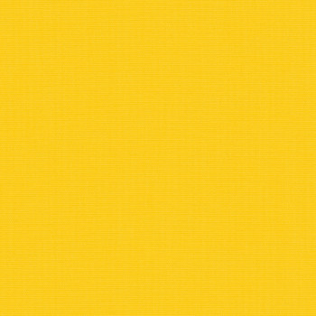Acacia Sunshine Roller Blind