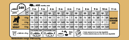 Miniature Schnauzer Puppy feeding guide