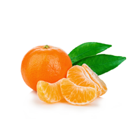 Sweet Citrus Fragrance