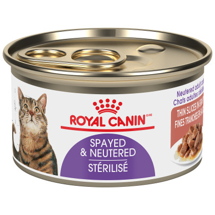 Royal Canin Feline Health Nutrition Spayed/Neutered Thin Slices In Gravy Canned Cat Food