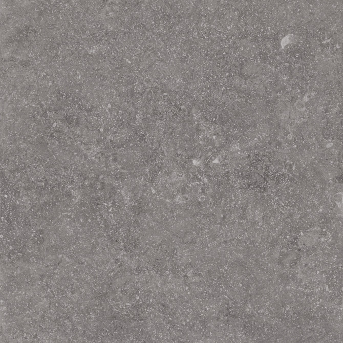 Beljn Canal Gray 24×24 Field Tile Rectified