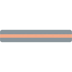 Sentence Strip Reading Guide, 1-1/4" x 7-1/4", Peach