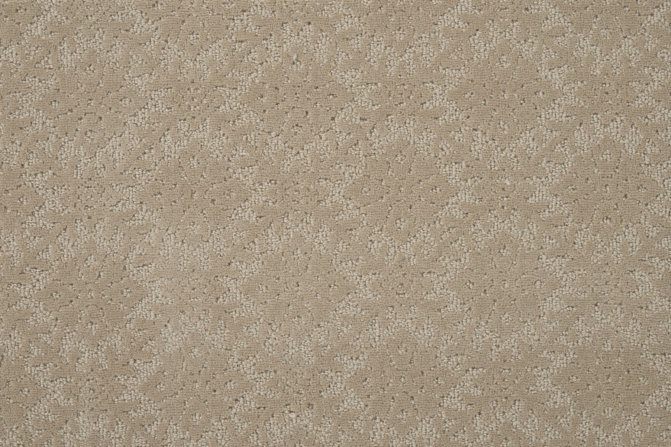 color-rug1