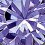 June-Tanzanite
