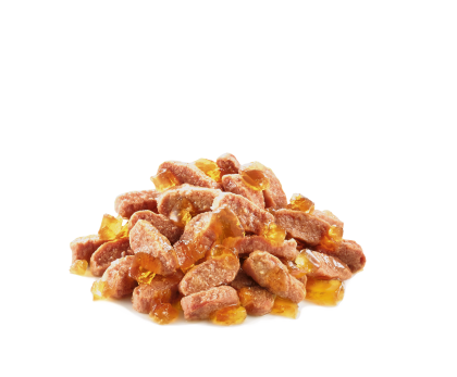 Kitten in Jelly kibble