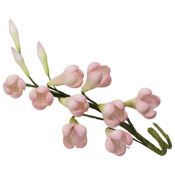 Petite Garden Assortment Gum Paste Sprays