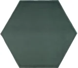 Teramoda Emerald 6×7 Hexagon Field Tile Glossy