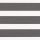 Zebra roller blind spanning the frame, alternating charcoal textured opaque and white sheer horizontal bands; aligned to filter and block light, mounted over a bright, neutral-lit window.