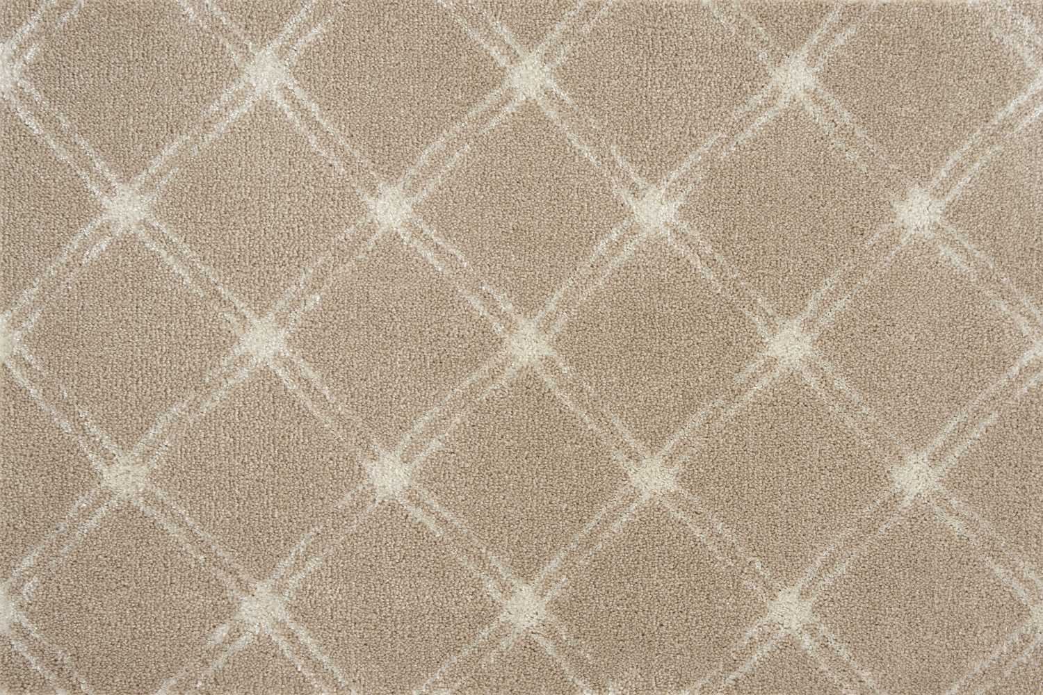 color-rug1