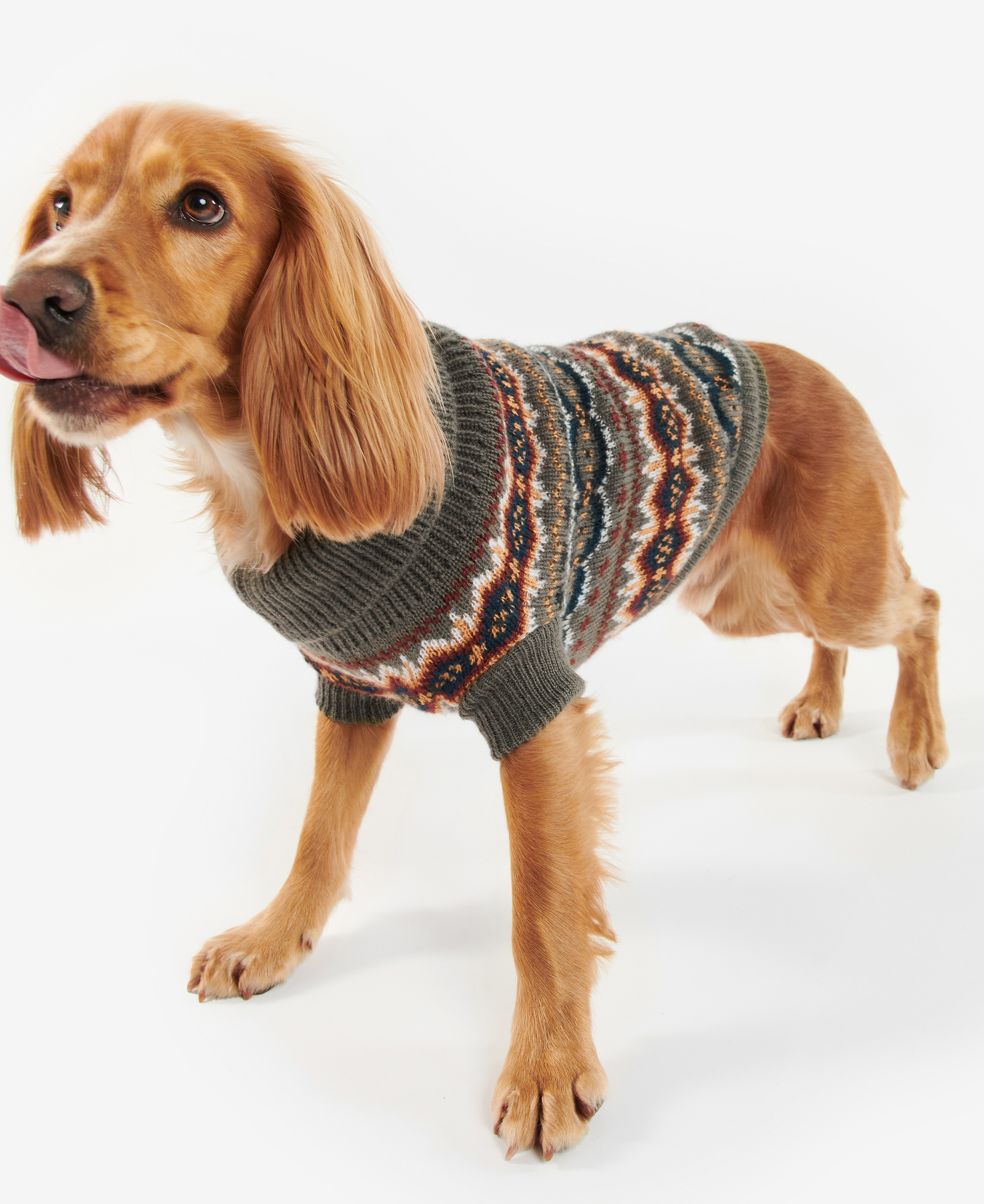 Case Fairisle Dog Jumper image number 0