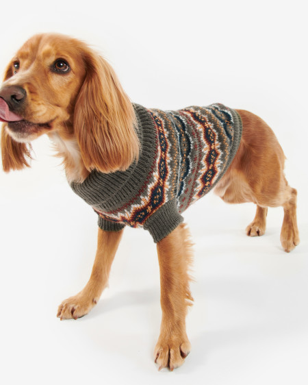 Case Fairisle Dog Jumper