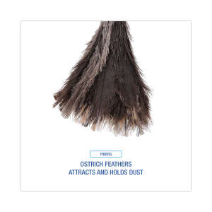 Boardwalk, Professional Ostrich Feather Duster, 13" Handle, Ostrich Feather, Gray, 10 in
