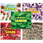 Acorn All About Plants Book Set, Set of 5 CPB9781484638613