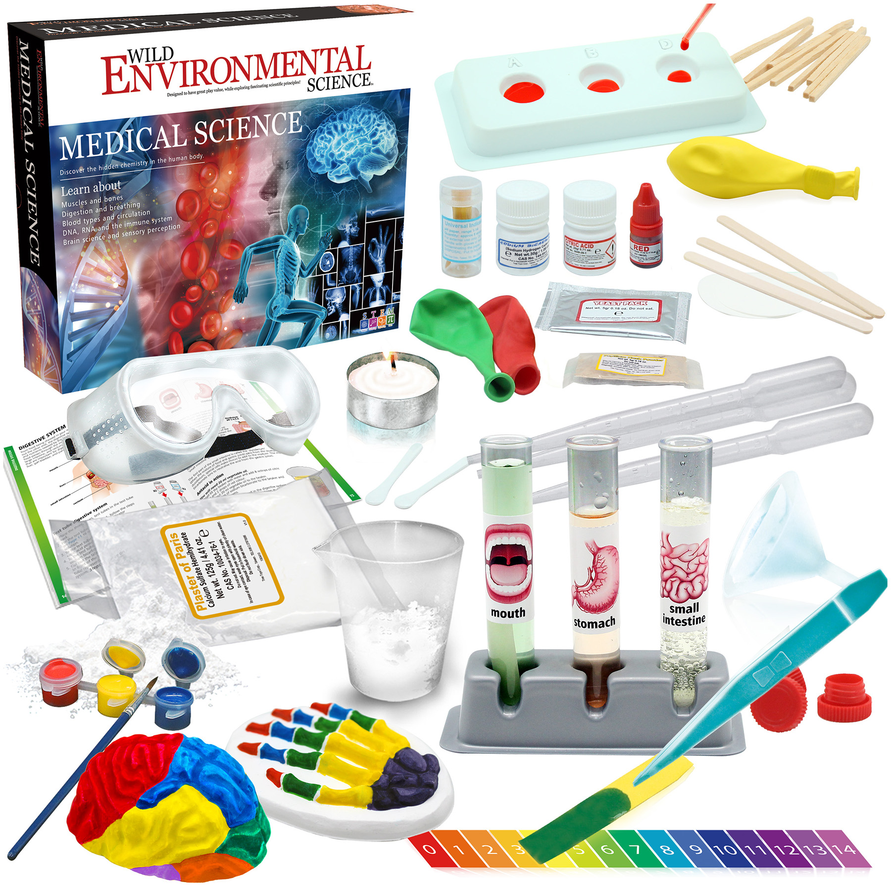 WILD ENVIRONMENTAL SCIENCE Medical Science - STEM Kit for Ages 8+ - Make a Test-Tube Digestive System, Extract DNA, Create Anatomical Models and More! image number null