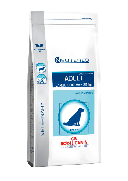 Neutered adult large dog
