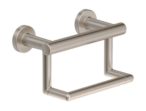 Toilet Paper Holder with Assist Bar