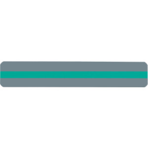 Sentence Strip Reading Guide, 1-1/4" x 7-1/4", Green
