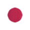 08 ROSE REFLET
