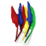 Charles Leonard Quill Feathers, 10" & 12", 6 Per Pack, 12 Packs CHL63006-12