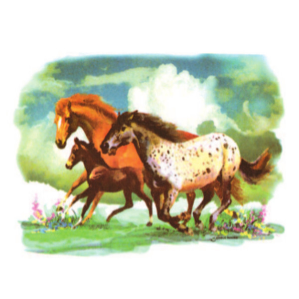 Wild Horses Edible Image® DecoPac