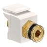 QuickPort® Binding Post Feedthrough Connector, Black Stripe, Light Almond