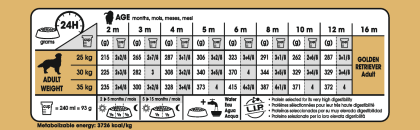 Golden Retriever Puppy feeding guide