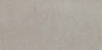 Alta Gray 12×24 Field Tile Polished Rectified