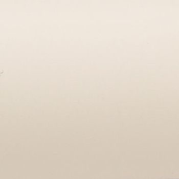 Smooth beige painted wall with minor scuffs—standing bare, evenly lit—interior wall filling the frame in soft diffuse light, no visible furniture or windows.