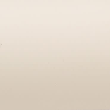 Smooth beige painted wall with minor scuffsâ€”standing bare, evenly litâ€”interior wall filling the frame in soft diffuse light, no visible furniture or windows.