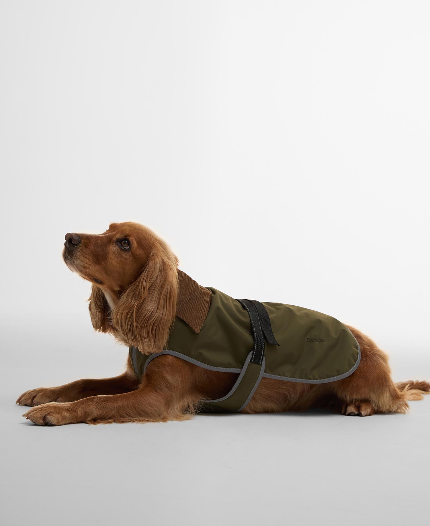 Monmouth Waterproof Dog Coat image number 0