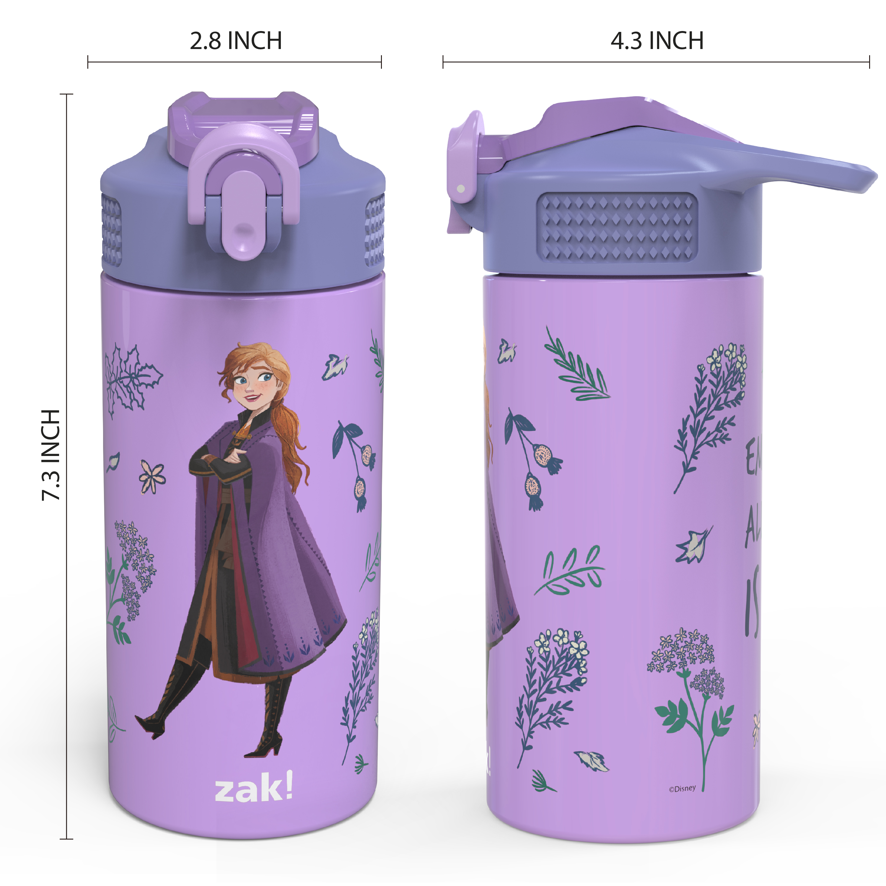Disney Frozen 2 Movie 14 ounce Stainless Steel Vacuum Insulated Water Bottle, Princess Anna slideshow image 8