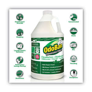 OdoBan,  Odor Eliminator Eucalyptus,  1 gal Bottle