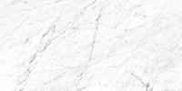 Tremaine White 24×48 Field Tile rectified