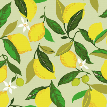 Citrine Yellow Roller Blind